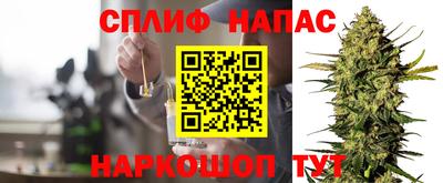 МДПВ Рузаевка